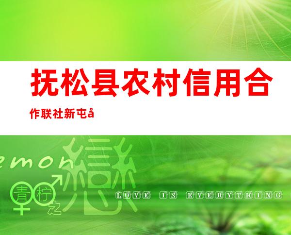 抚松县农村信用合作联社新屯子信用社